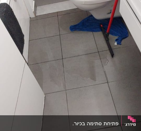 שירותים עם מגב ומים על הרצפה
